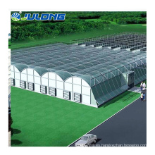 Multi -Span Green House para Strawberry